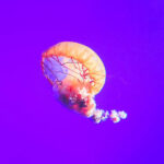 gallery update1